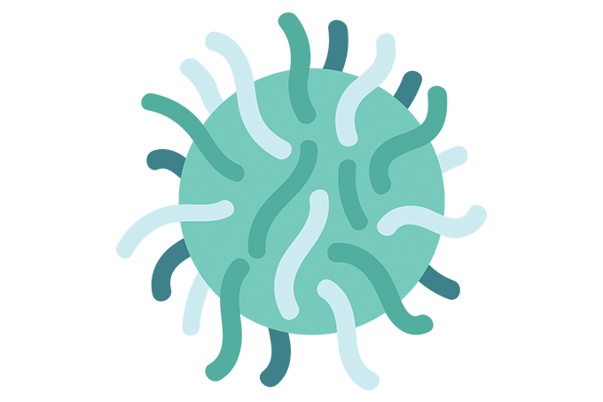 coronavirus prevenção como evitar