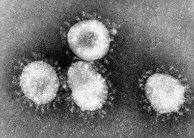 quantos casos de coronavirus no brasil