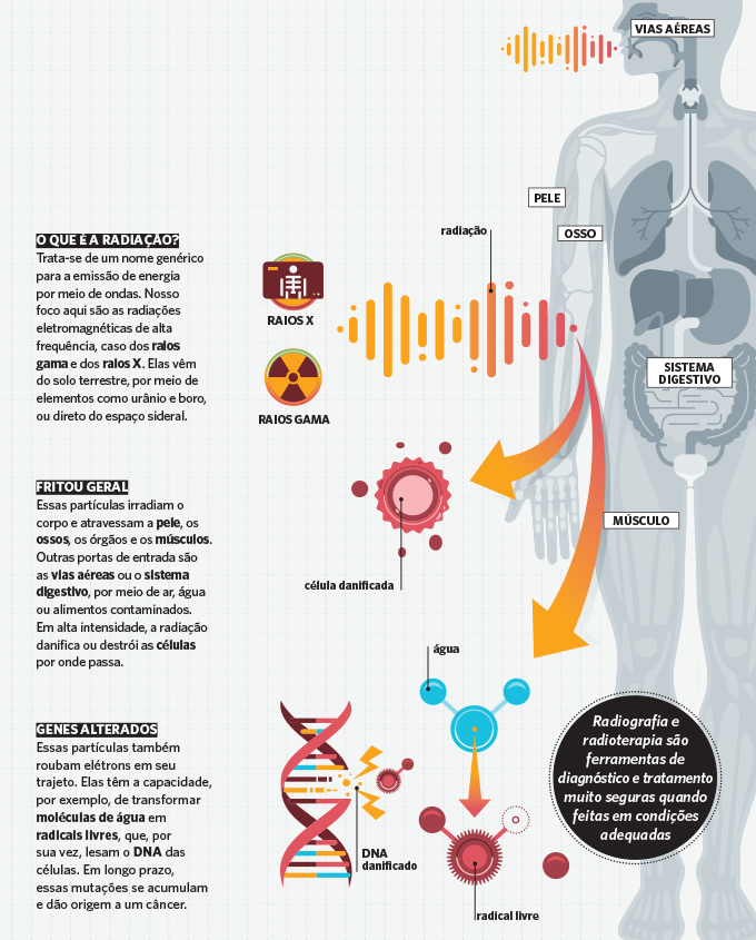 Quais São Os Efeitos Da Radiação No Corpo Veja Saúde 
