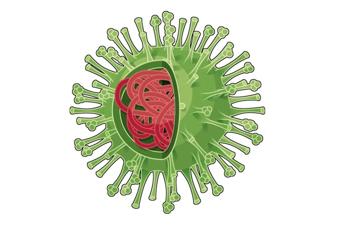 enquete coronavirus