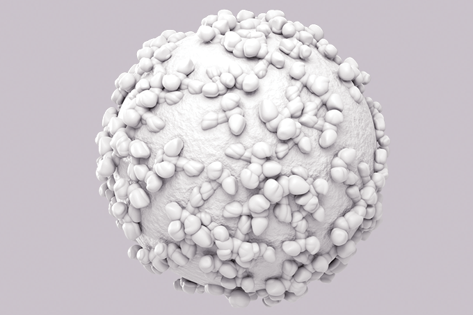 outros-virus-chykunguya outros-virus-chykunguya