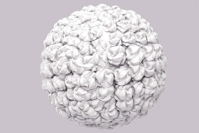 outros-virus-hpv outros-virus-hpv