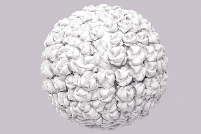 O que HPV tem a ver com câncer anal? Tudo!