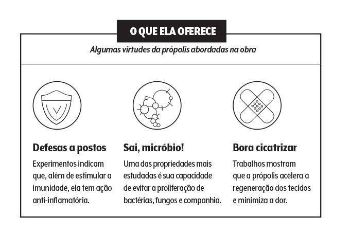 medicina-quadro-propolis