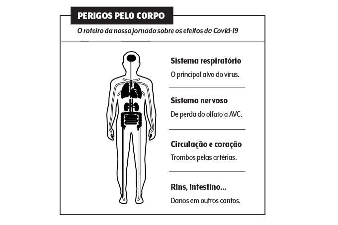 coronavírus danos sistêmicos