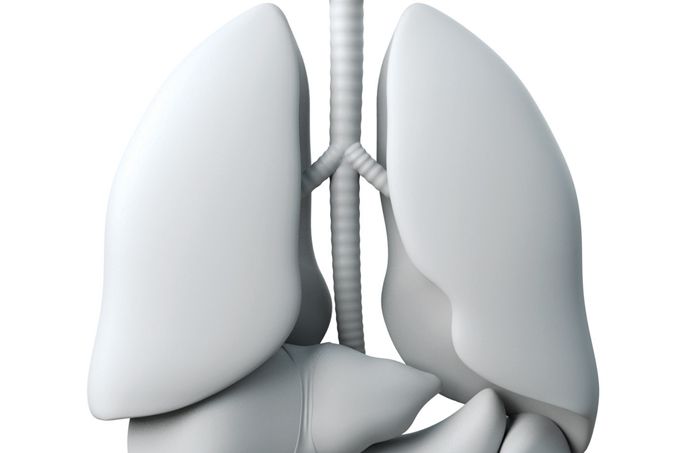 sequelas do coronavirus fibrose pulmonar