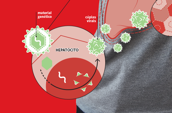 infecção hepatite C