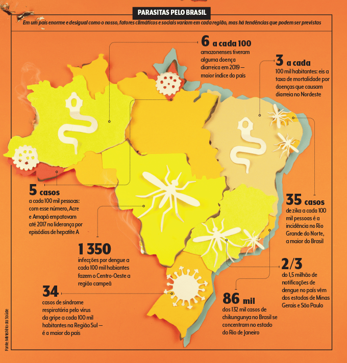 infecções verão brasil Os efeitos da temperatura na Covid-19, na dengue e em outros perigos