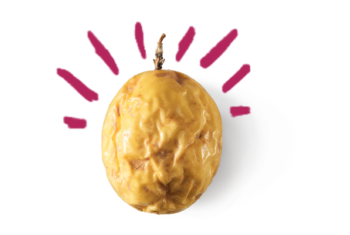 Maracujá-alho é promissor contra o Parkinson