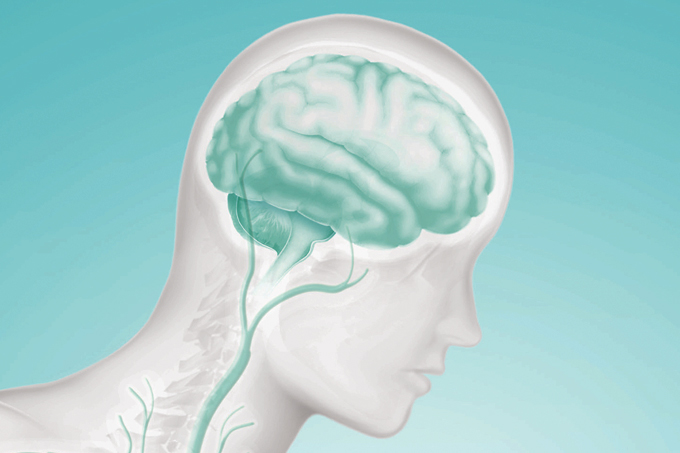 ilustração 3D do cérebro, que é afetado pelo Parkinson