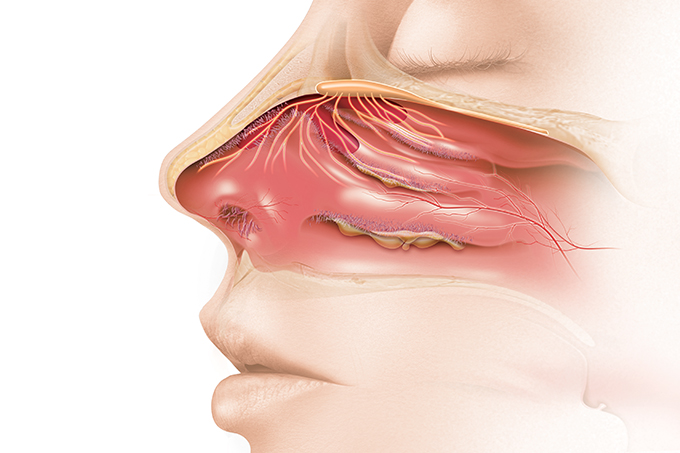 ilustração de um nariz com perda de olfato por causa do coronavírus