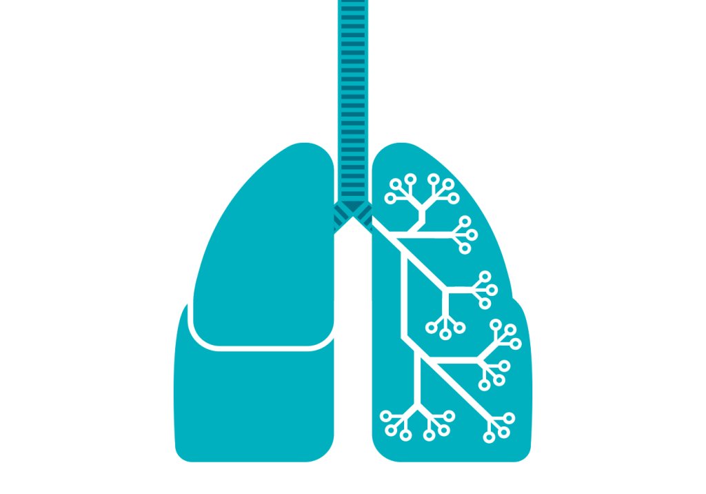 Desenho de pulmões azuis
