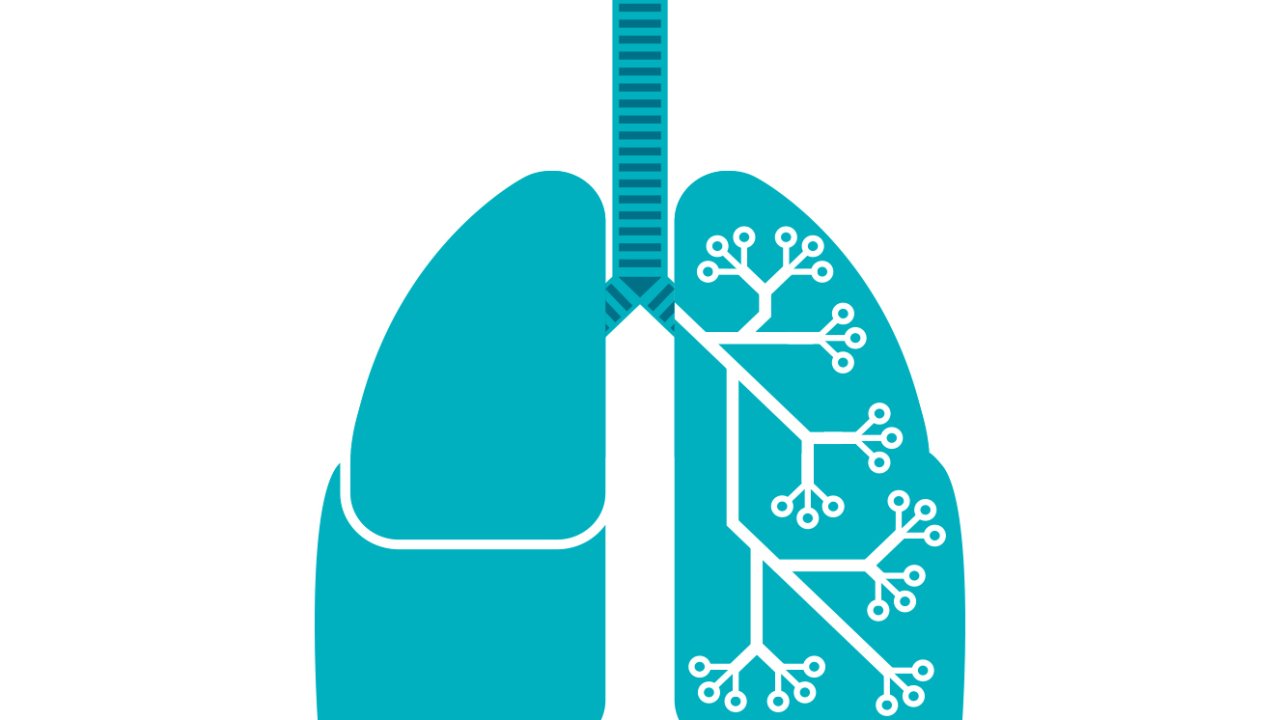 Desenho de pulmões azuis