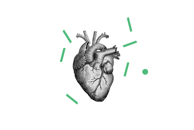 ilustração do coração