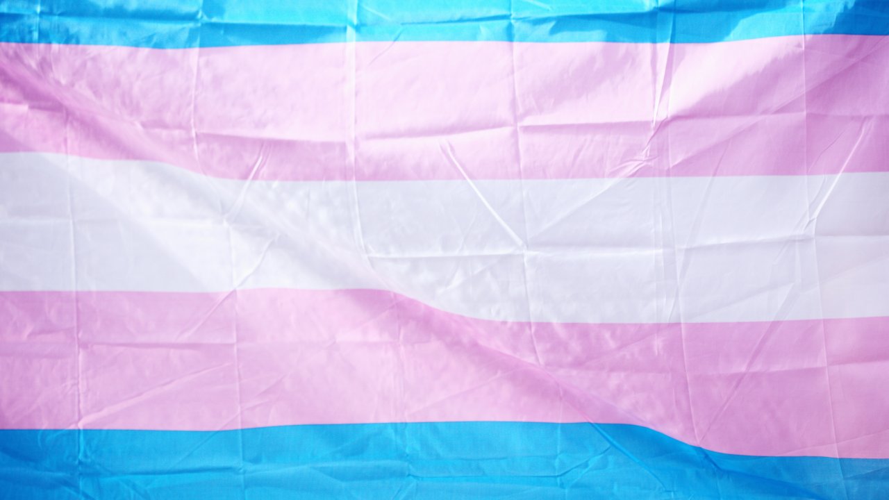 Bandeira com faixas azul, rosa e branca, que representam o movimento trans
