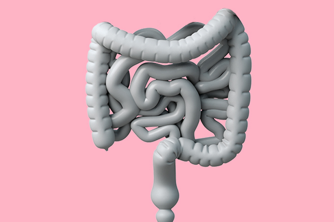 ilustração do intestino, onde fica o câncer retal