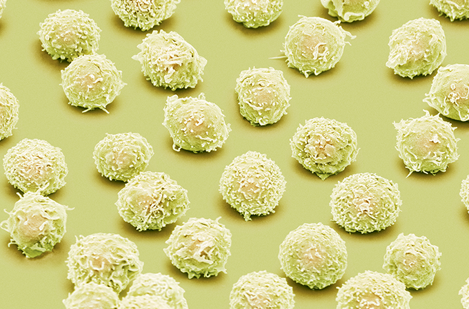 Zoom: o desfile dos heróis