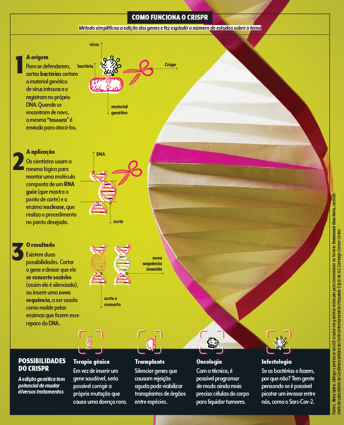 Como funciona o Crispr-Cas9 Crispr Cas-9