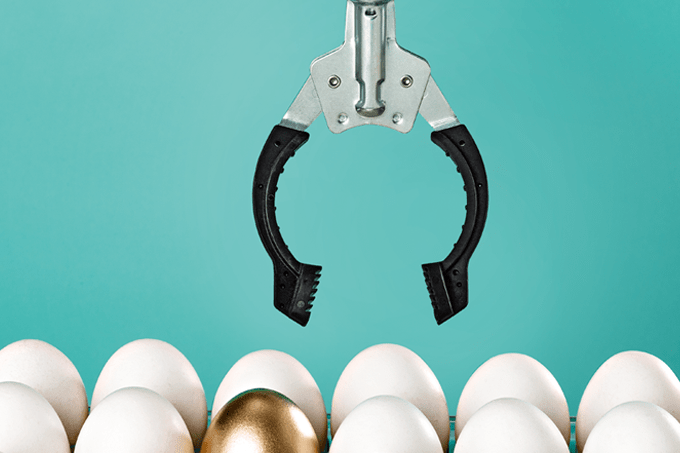 foto de coletor de ovo, simulando ideia de inseminação artificial