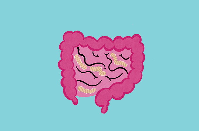 ilustração de vermes no intestino
