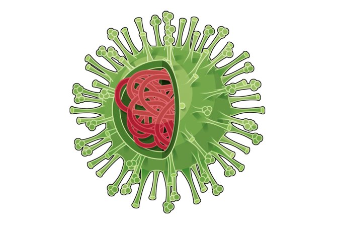 O que é gripe e virus influenza?