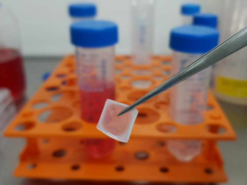 Pinça segurando biocurativo com equipamentos de laboratório ao fundo