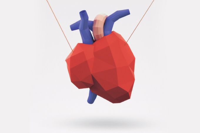 Dobradura de papel de coração e suas artérias
