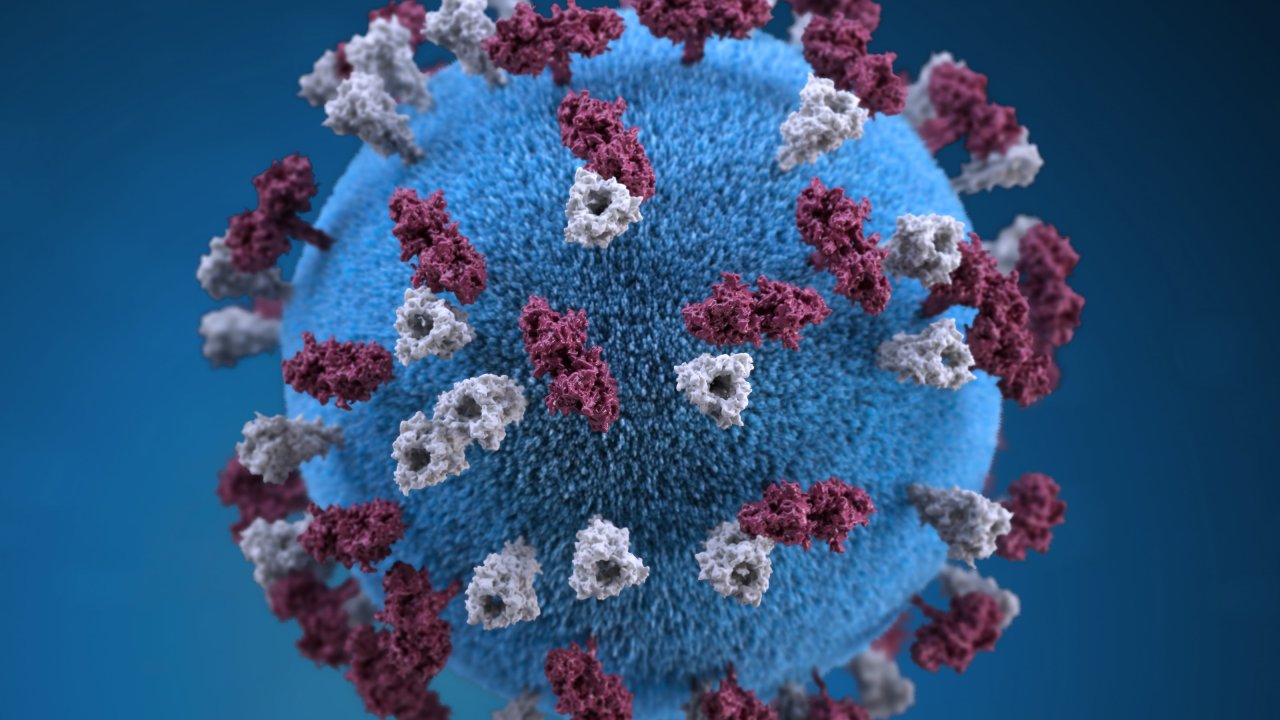 Ilustração de coronavírus