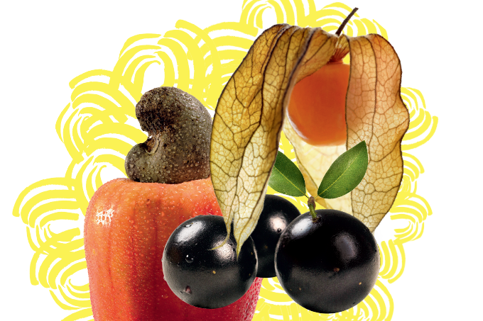 montagem de frutas brasileiras: caju, jabuticaba e physalis