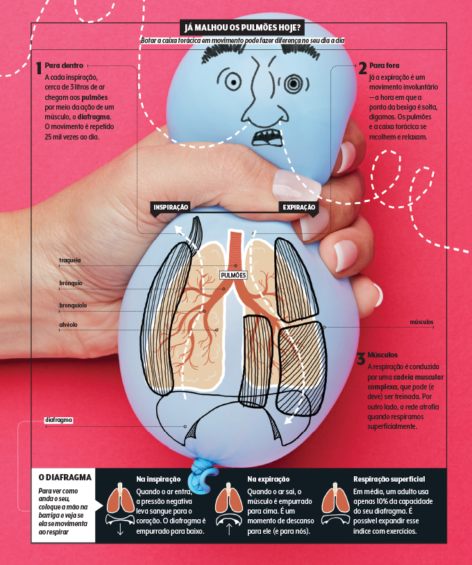 ilustração da anatomia do pulmão