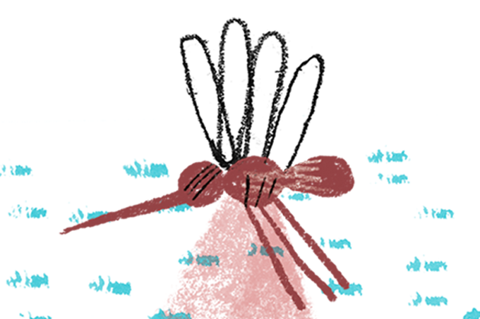 Ilustração de mosquito aedes aegypti, transmissor da dengue
