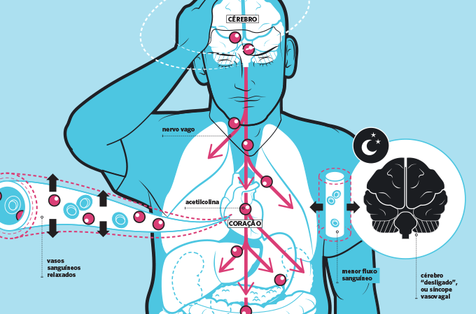 Infográfico mostrando mecanismo que leva ao desmaio