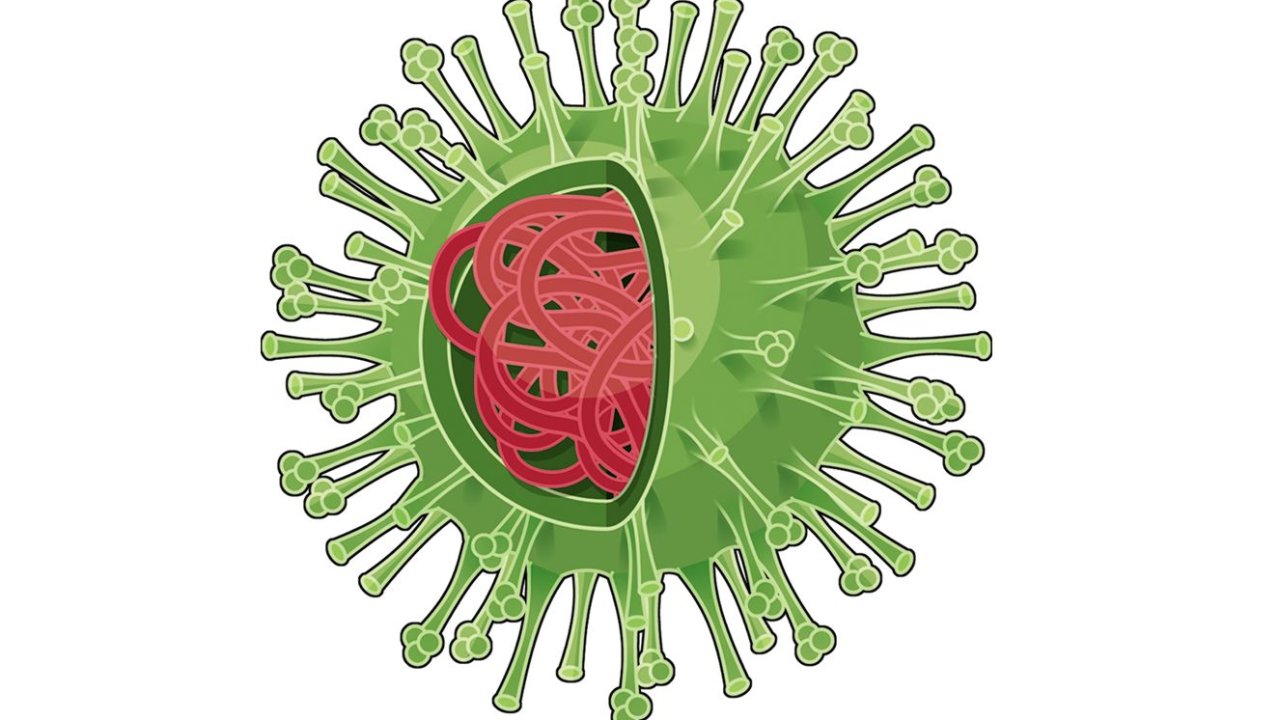 imagem do vírus influenza, que causa a gripe