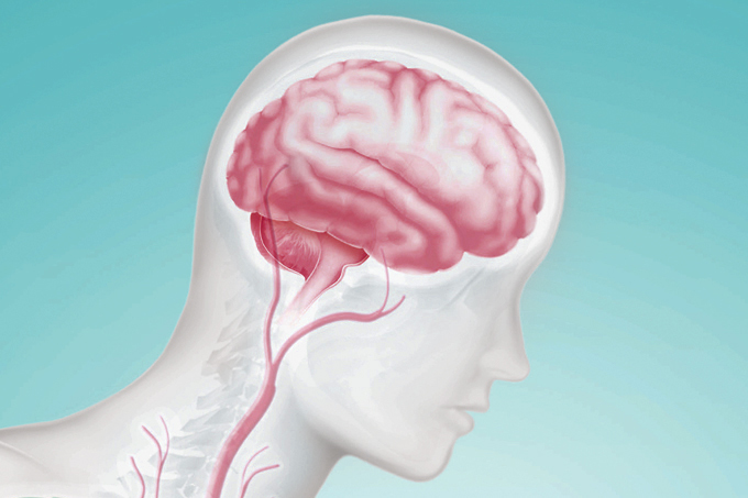 ilustração de uma pessoa, com destaque para o cérebro