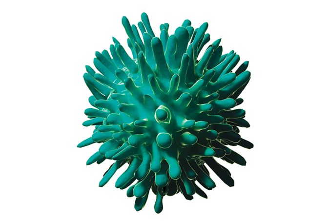 Julho amarelo: diagnóstico de hepatite C cai pela metade na pandemia