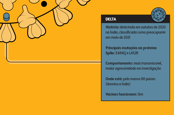 Quadro de informações sobre variante delta do Sars-Cov-2