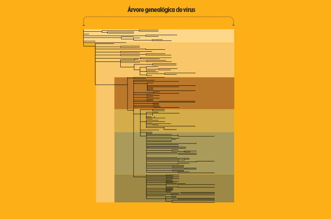 representação de análise filogenética do coronavírus