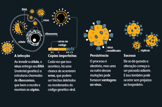 passo a passo ilustrado de como surge uma variante do coronavírus a partir de sua replicação