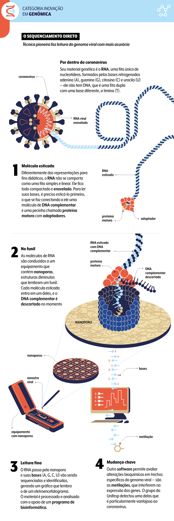 infográfico sobre técnica do trabalho da UNIFESP com o RNA do coronavírus