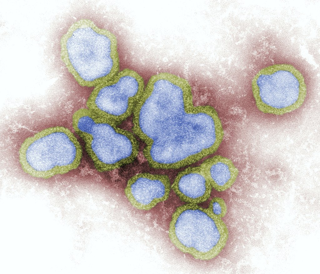 nova gripe H3N2