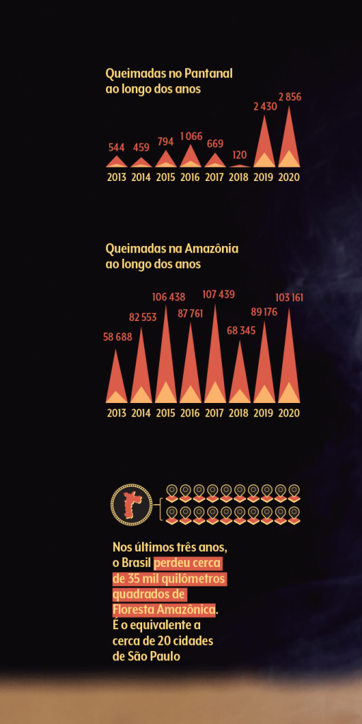 Desmatamento e queimadas no brasil