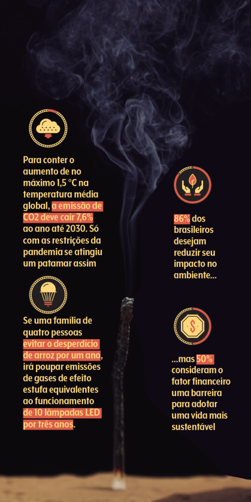 mudanças climáticas o papel de todos nas mudanças climáticas