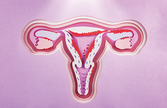 O que pode ser considerada uma menstruação normal? – Clínica Ayroza Ribeiro