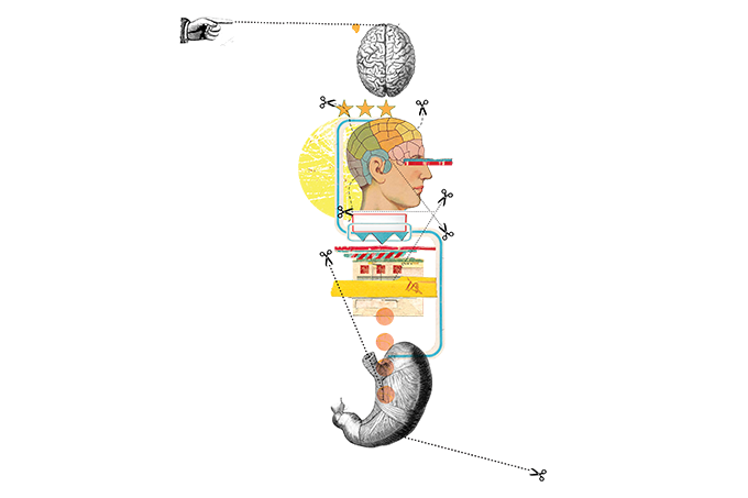 ilustração de estômago conectado a cérebro