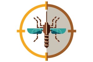 Dengue: sintomas e como tratar
