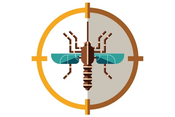 quais os sintomas da dengue e como tratar