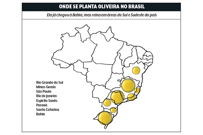 mapa do brasil mostrando produção de azeite