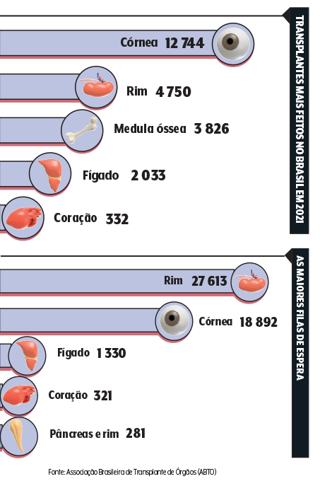 Gráfico com numeros de transplantes