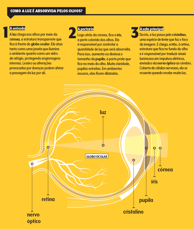 o olho de quem tem fotofobia