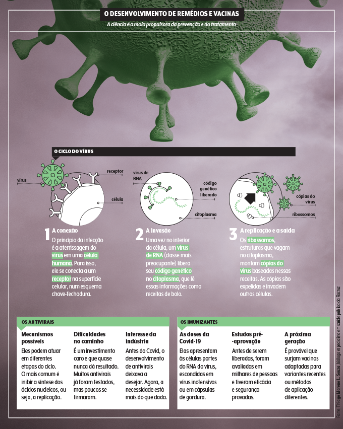 desenvolvimento de vacina e antivirais